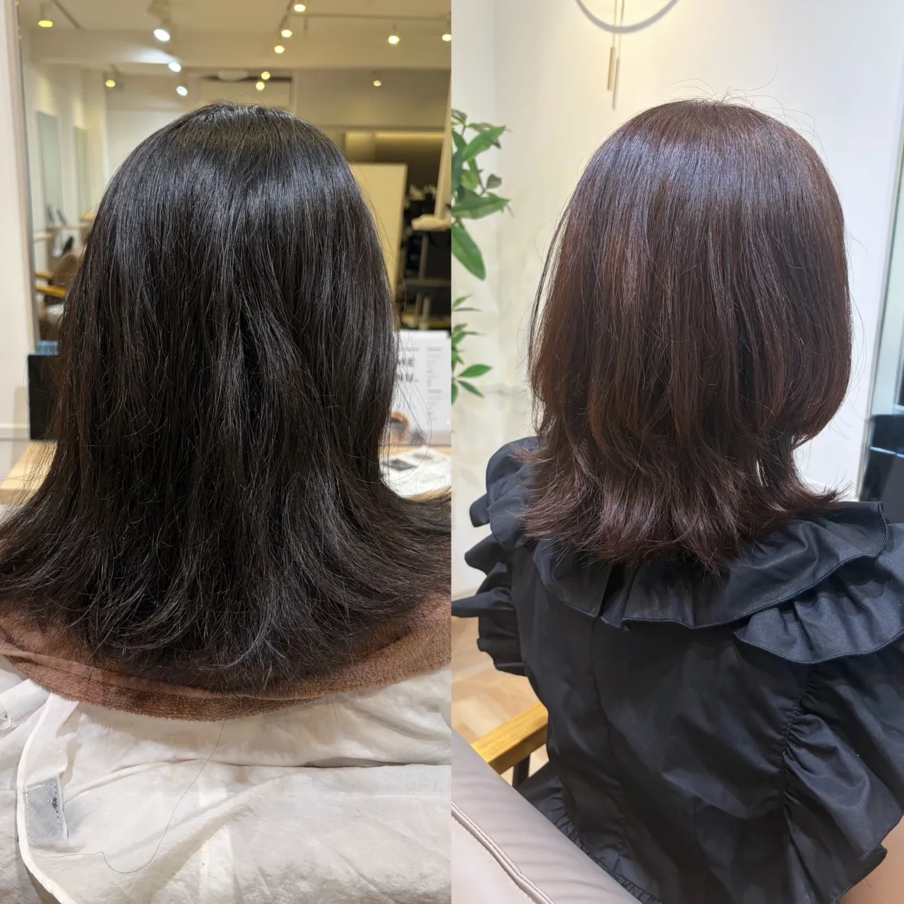 担当stylist/  柿下